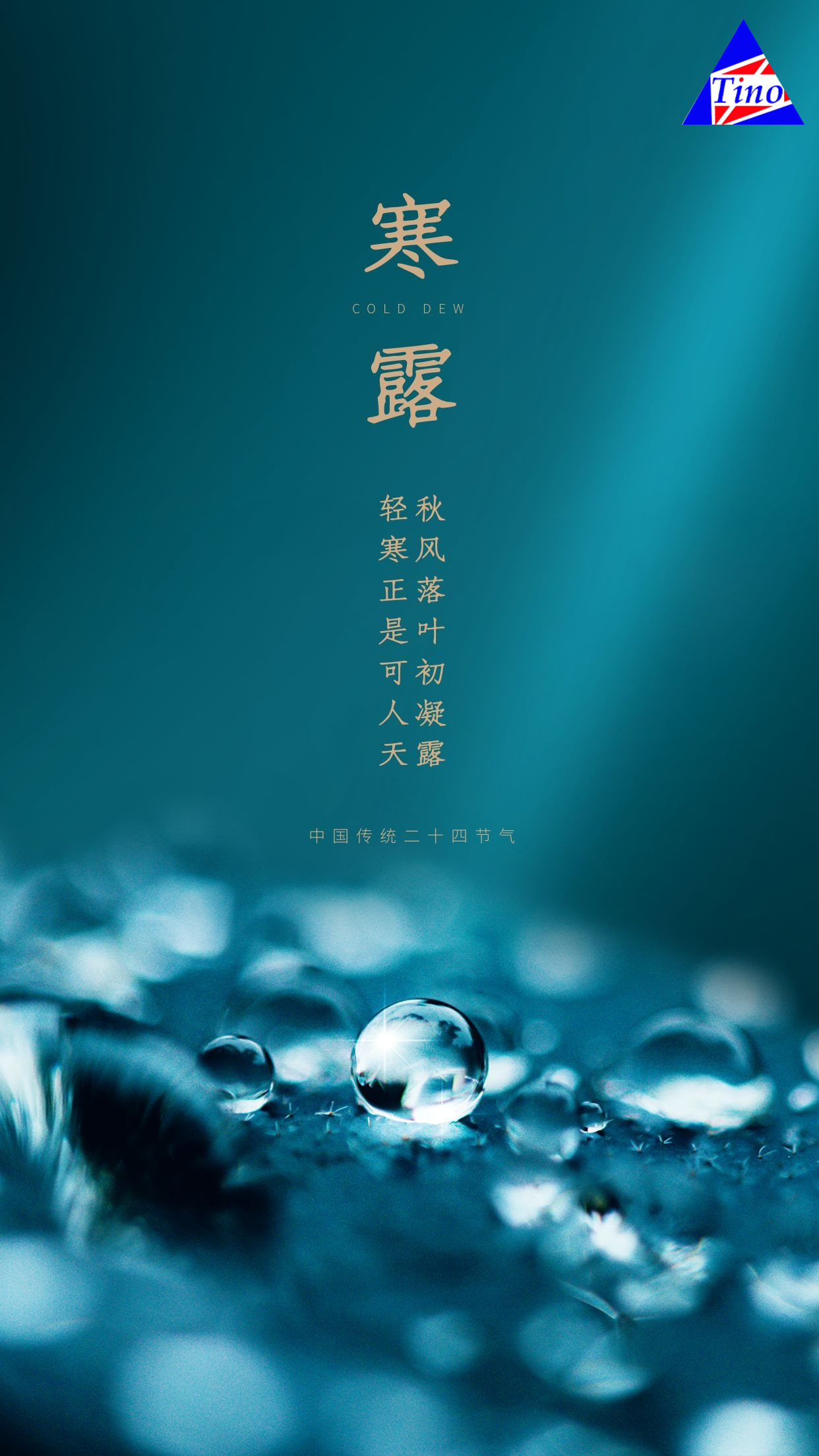 泰諾模具